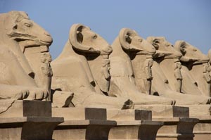 avenue of egyptian sphinx